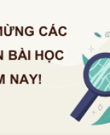 Bài 16 .  Thực hành - Cảm ứng ở thực vật.pptx