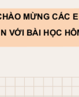 Bài 20 -  Sinh trưởng và phát triển ở thực vật.pptx