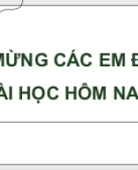 Bài 27 -  Sinh sản ở động vật.pptx