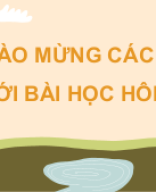 Bài 1 Khái quát về trao đổi chất và chuyển hóa năng lượng.pptx