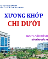 6 Xuong khop chi dưới.pptx