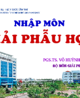 Nhập môn Giải phẫu học.pptx