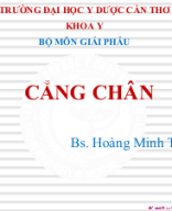 CANG BAN CHAN BMGP.pptx