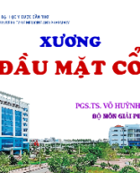 Xương Đầu - Mặt - Cổ.pptx