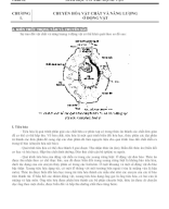 CHƯƠNG 1. CHUYỂN HÓA VẬT CHẤT VÀ NĂNG LƯỢNG Ở ĐỘNG VẬT.doc