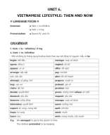 6. UNIT 6. VIETNAMESE LIFESTYLE - THEN AND NOW.docx