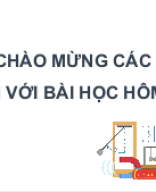 Bai 11 Phan xa am- KHTN 7CD.pptx