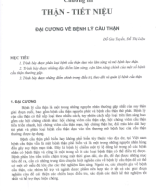 đại cương bệnh lý cầu thận.pdf