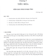 viêm gan B mạn tính.pdf