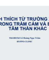 KÍCH THÍCH TỪ TRƯỜNG XUYÊN SỌ TRONG TRẦM CẢM VÀ BỆNH LÝ TÂM THẦN KHÁC (1).pdf