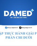 ÔN TẬP THỰC HÀNH - PHẦN CHI DƯỚI.pptx