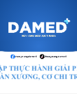 THỰC HÀNH XƯƠNG, CƠ CHI TRÊN.pptx