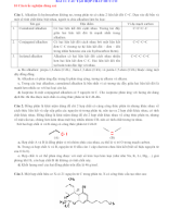 35. Bai 11 Cau tao hop chat huu co - CD. Nguyen Tran Trong Hieu.docx