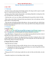 Bài 34 HỆ HÔ HẤP Ở NGƯỜi.pdf