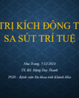 8. Điều trị kích động trong sa sút trí tuệ.pdf