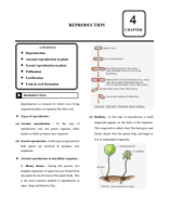 04-Reproduction.pdf