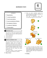 06-Reproduction.pdf