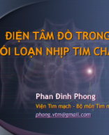 Điện tâm đồ trong rối loạn nhịp tim chậm.pdf