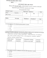 exam-2024-12-11-1.pdf