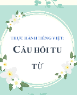 THỰC HÀNH TIẾNG VIỆT - CÂU HỎI TU TỪ.pptx