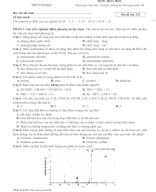 Lớp 11. Đề thi cuối kì 1 (đề số 3) - FORM MỚI_.docx