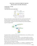 4. HSG Sinh 9 - TÁI BẢN DNA, PHIÊN MÃ, DỊCH MÃ, MỐI QUAN HỆ DNA-TÍNH TRẠNG.pdf