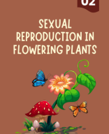 02. SEXUAL REPRODUCTION IN FLOWERING PLANTS.pdf