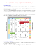 KHTN 9 - SINH HỌC - BÀI 40. DỊCH MÃ VÀ MỐI QUAN HỆ TỪ GENE ĐẾN TÍNH TRẠNG - GV.docx