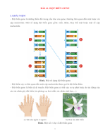 KHTN 9 - SINH HỌC - BÀI 41. ĐỘT BIẾN GENE - GV.docx