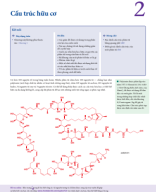 2 Cấu trúc hữu cơ.pdf