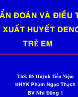 5. Sot xuat huyet tre em 2023.pdf