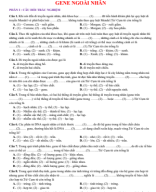 PHẦN I . CÂU HỎI TRẮC NGHIỆM - GENE NGOÀI NHÂN - HS.pdf