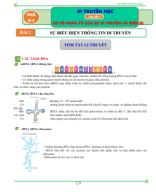 CHỦ ĐỀ 2. SỰ BIỂU HIỆN THÔNG TIN DI TRUYỀN.pdf