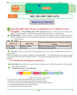 CHỦ ĐỀ 3. ĐIỀU HÒA BIỂU HIỆN GENE.pdf