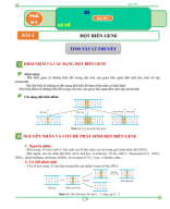 CHỦ ĐỀ 4. ĐỘT BIẾN GENE.pdf