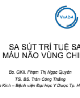 BS Phạm Thị Ngọc Quyên - SA SÚT TRÍ TUỆ SAU NHỒI MÁU NÃO VÙNG CHIẾN LƯỢC.pdf