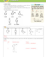 Bài 21. Phenol - GV.docx