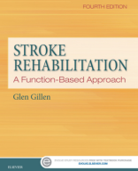 STROKE Functional Approach.pdf