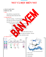 Chuyên đề 13. NST - PHÂN BÀO & ĐB PHÂN BÀO-HSG.pdf