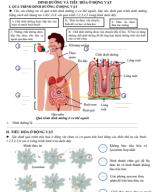 S09PHT-DINH DƯỠNG VÀ TIÊU HOÁ Ở ĐV.pdf