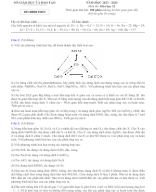 03. Đề HSG Hóa Học 12 - Quảng Trị (2023 - 2024) [Tự luận].docx