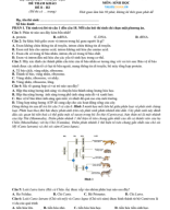 ĐỀ VIP 8 -  SINH 2025 - ( ĐỀ BÀI ) -.pdf