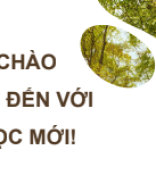 Bài 18. Thực hành Vấn đề môi trường trong phát triển kinh tế - xã hội ở Tây Nguyên.pdf