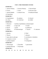 UNIT 3- ENDOCRINE SYSTEM.pdf