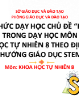 (PPT) BCBP - STEM HỆ BÀI TIẾT.pdf