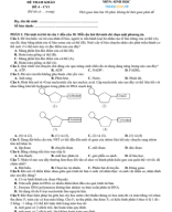 ĐỀ VIP 4 - SINH 2025 - ( ĐỀ BÀI ).pdf