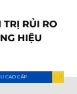 SIS_241_2024.11.12 Quản trị rủi ro TH cao cấp.pdf