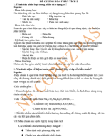 đề cương hpt 2.pdf