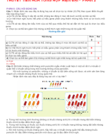 PHẦN II . CÂU HỎI ĐÚNG SAI - QUÁ TRÌNH HÌNH THÀNH ĐĐ THÍCH NGHI VÀ LOÀI SINH HỌC - GV.docx