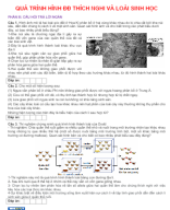 PHẦN III.  CÂU HỎI TRẢ LỜI NGẮN -  QUÁ TRÌNH HÌNH THÀNH ĐĐ THÍCH NGHI VÀ LOÀI SINH HỌC - HS.docx